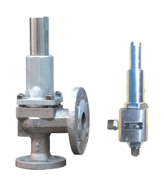 Cryogenic Safety Relief Valve
